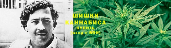 соль курить ск Новодвинск