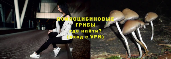 гашик Нягань