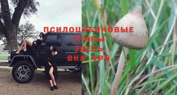 гидра Няндома