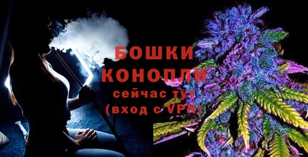 сатива Грязовец