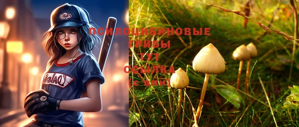 не бодяженный Новозыбков