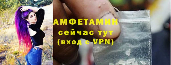 гидра Няндома